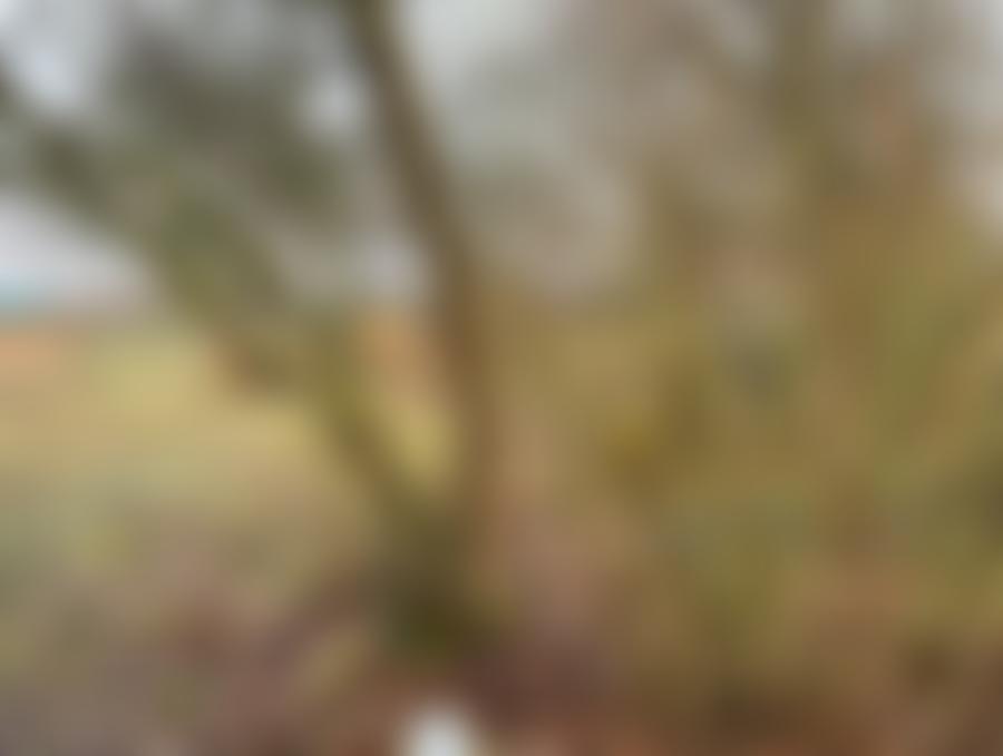 Öffentliche Bildvorschau: Mehrfamilienhaus in Breitengüßbach