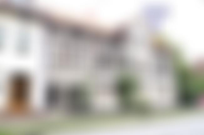 Wohn- und Geschäftshaus + unbebaute Grundstücke in 99755 Ellrich — Zwangsversteigerung am Amtsgericht Nordhausen - Aufnahme 2 von 6