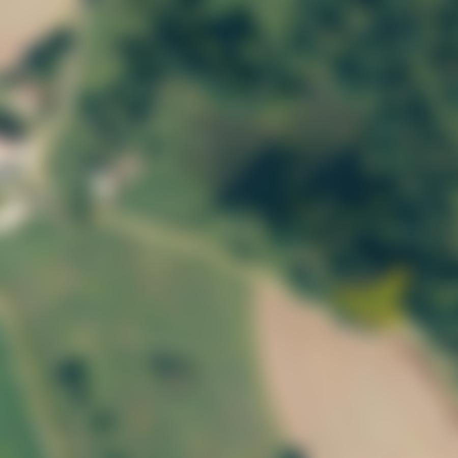 Waldfläche in 92237 Sulzbach-Rosenberg — Zwangsversteigerung am Amtsgericht Amberg - Aufnahme 2 von 5