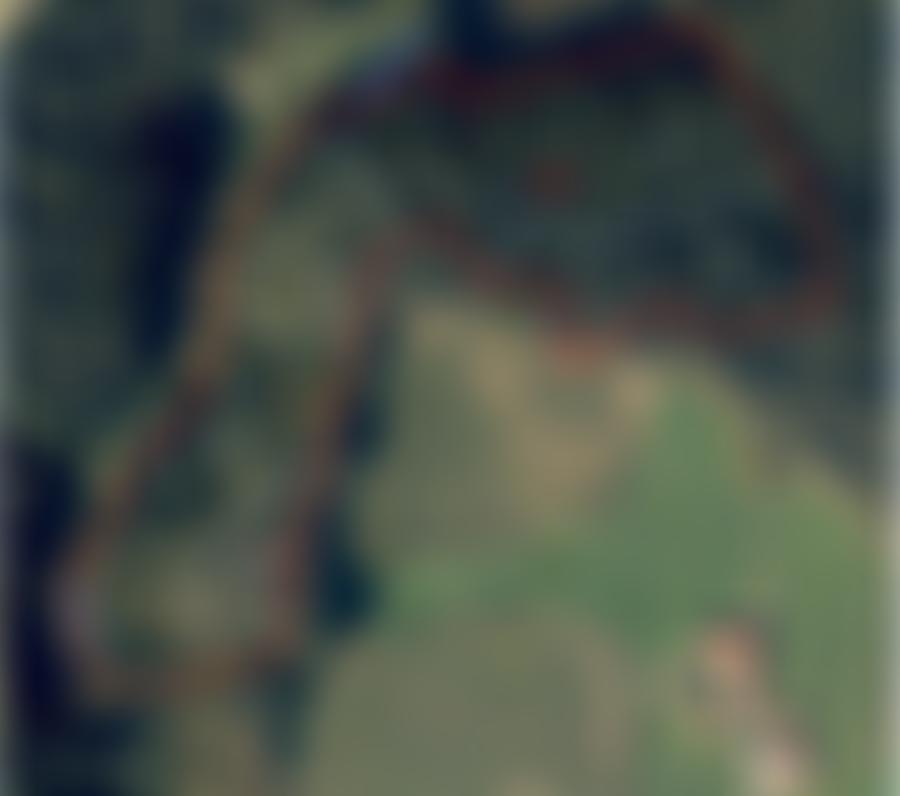 land- und forstwirtschaftlich genutztes Grundstück in 00000 Stockberg — Zwangsversteigerung am Amtsgericht Regensburg - Aufnahme 2 von 2