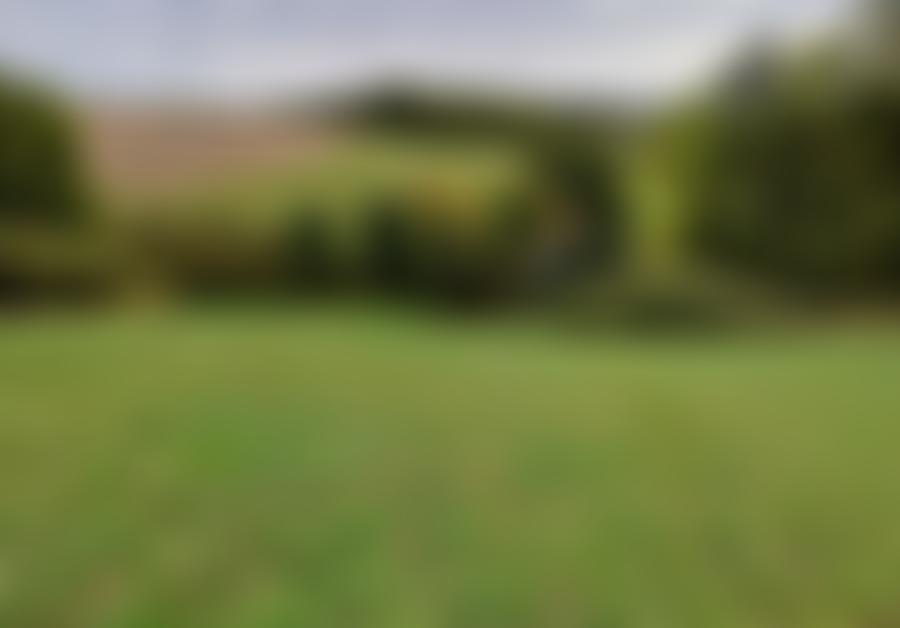 land- und forstwirtschaftlich genutztes Grundstück in 07586 Kraftsdorf — Zwangsversteigerung am Amtsgericht Gera - Aufnahme 2 von 2