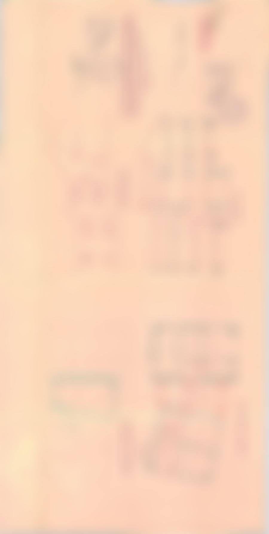 ehem. Wohn- und Geschäftshaus in 4950 Altheim St. Ulrich — Zwangsversteigerung am Amtsgericht Bezirksgericht Braunau am Inn - Aufnahme 2 von 10