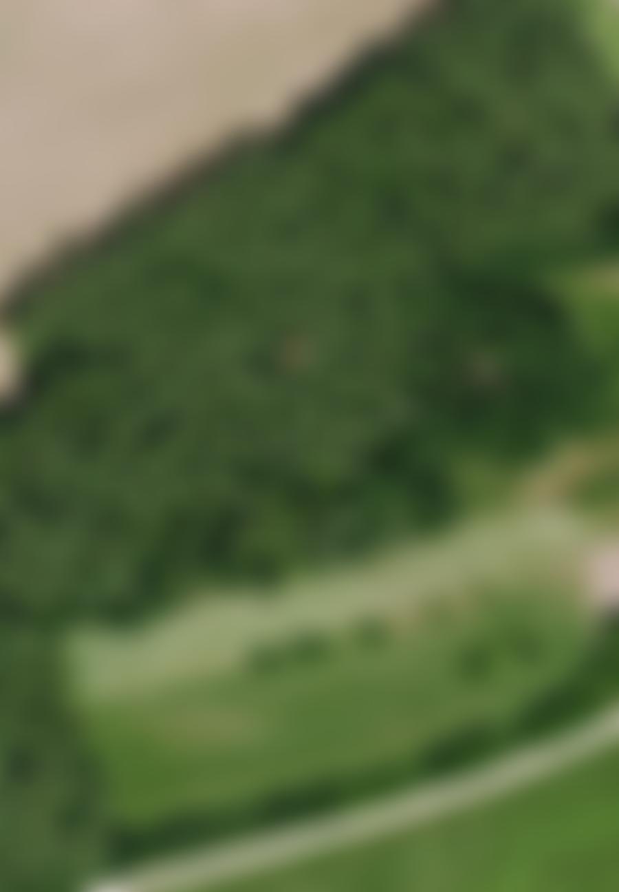 land- und forstwirtschaftlich genutztes Grundstück, Sonstiges in 91639 Reutern — Zwangsversteigerung am Amtsgericht Ansbach - Aufnahme 2 von 10