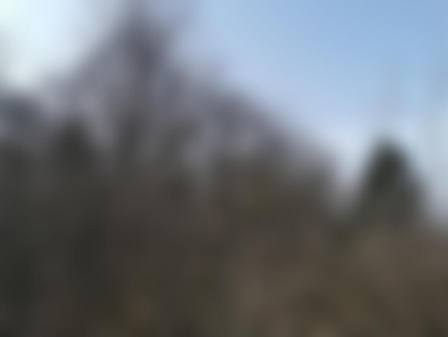 Waldfläche in 00000 Herzogau — Zwangsversteigerung am Amtsgericht Regensburg - Aufnahme 2 von 3