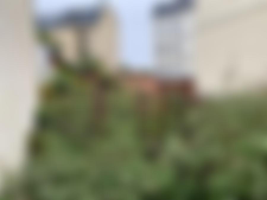 freigelegtes Grundstück in 08525 Plauen — Zwangsversteigerung am Amtsgericht Zwickau - Aufnahme 2 von 10