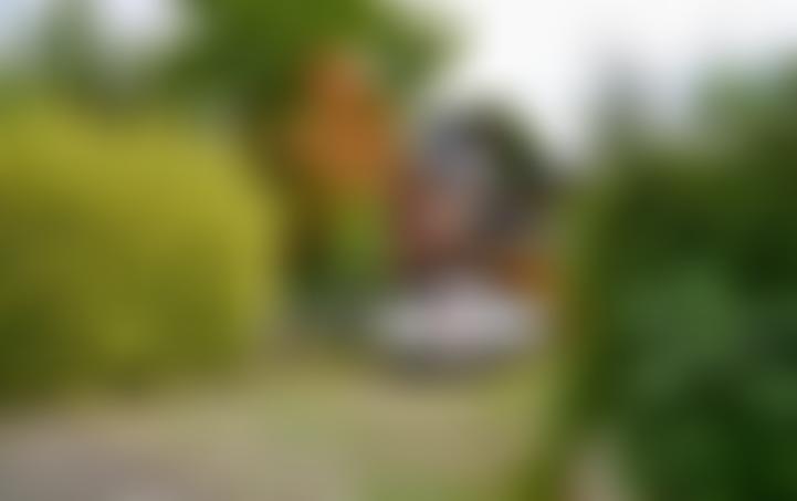 Öffentliche Bildvorschau: Einfamilienhaus in Bruchhausen-Vilsen