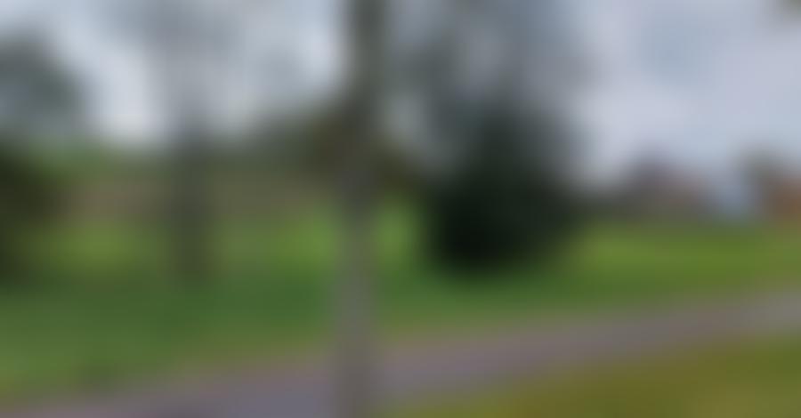 Öffentliche Bildvorschau: Land- und forstwirtschaftlich genutztes Grundstück in Saara