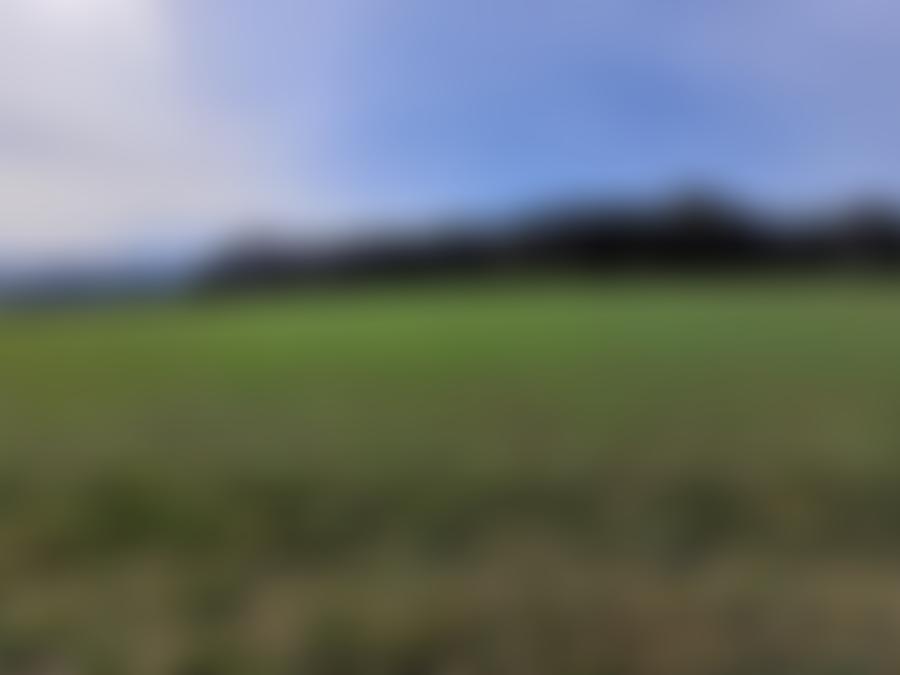 Öffentliche Bildvorschau: Land- und forstwirtschaftlich genutztes Grundstück in Steffenberg
