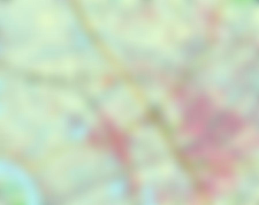Öffentliche Bildvorschau: Land- und forstwirtschaftlich genutztes Grundstück, Grünland in Moormerland
