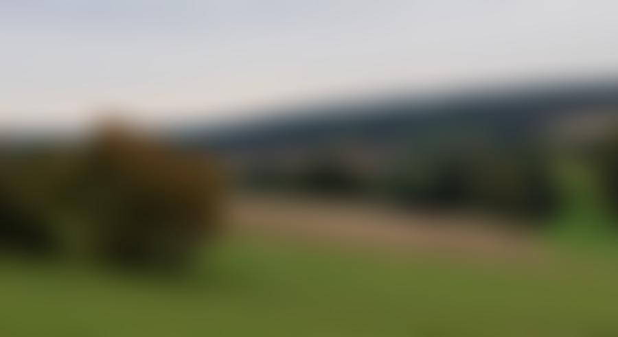 Öffentliche Bildvorschau: Land- und forstwirtschaftlich genutztes Grundstück in Kraftsdorf