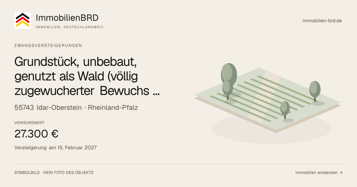Symbolbild: Grundstück, unbebaut, genutzt als Wald (völlig zugewucherter Bewuchs mit Haselnußsträuchern, Birken, Kirschbäumen, Brombeerhecken); Es ist ein voll erschlossener Bauplatz, der vor einer Bebauung jedoch noch gerodet werden müsste in Idar-Oberstein — Zwangsversteigerung, kein Foto des Objekts